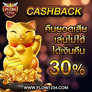 flowbet1234 คืนยอดเสีย